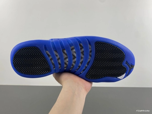 12 Air CT8013-140 Jordan Blueberry 1006